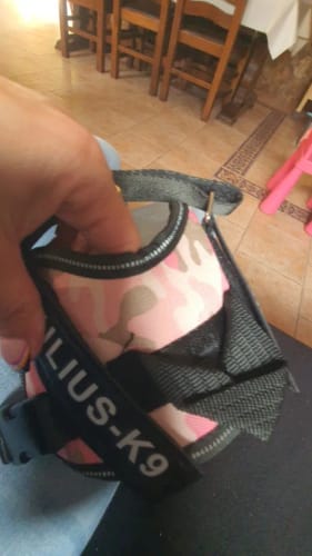 Customer photo review of EasyWalk™-רתמה מומלצת ע״י מאלפים למניעת משיכות ובריאות הכלב