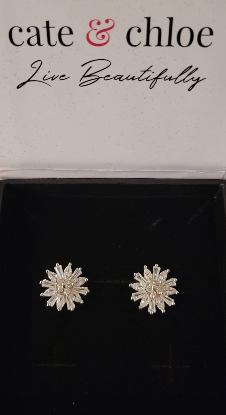 Customer photo review of Astara 18k White Gold Plated Stud Earrings with Simulated Diamond Crystals