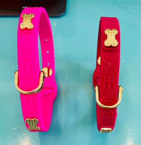 Customer photo review of Boneflex+ Collars Gold