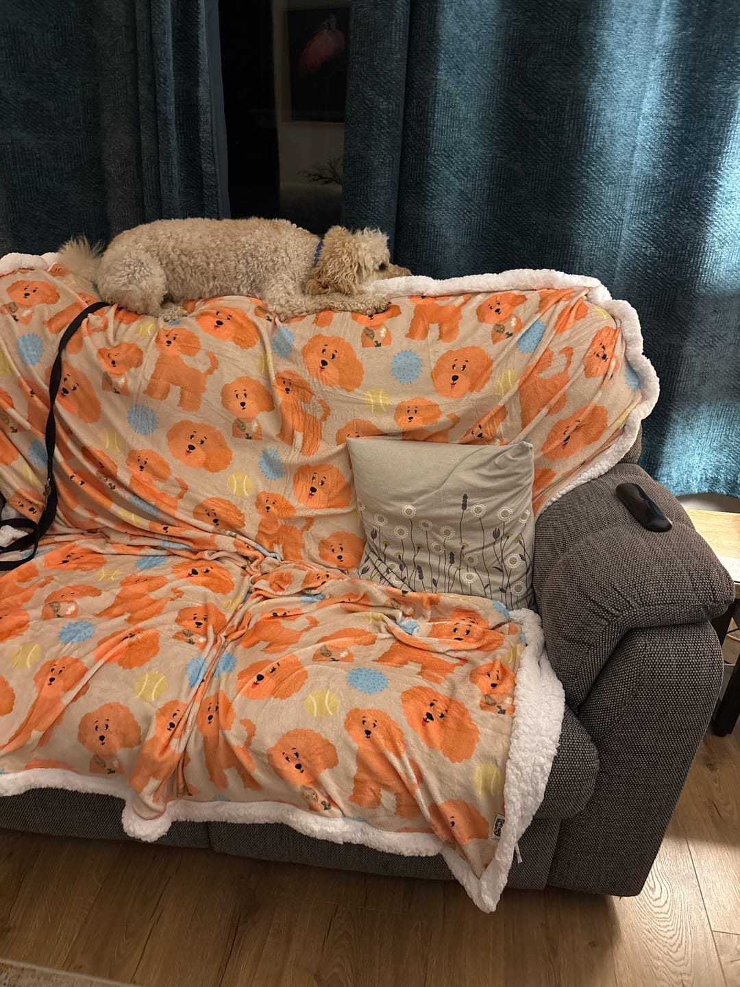 Customer photo review of Hooman Blankie - Curly Club Collection