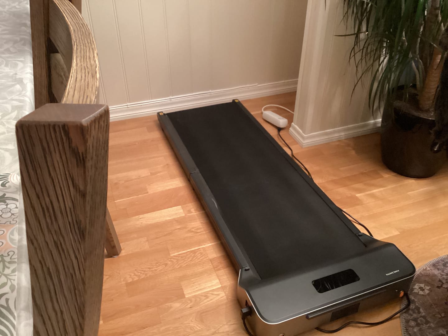 Customer photo review of WalkingPad Z1