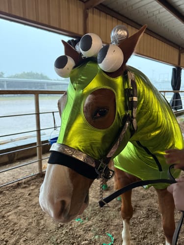 Customer photo review of GREEN METALLIC LYCRA HOOD BUNDLE