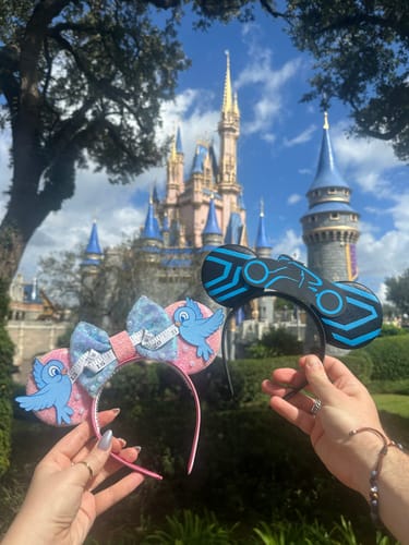 Customer photo review of Tron Mickey Ears for Men