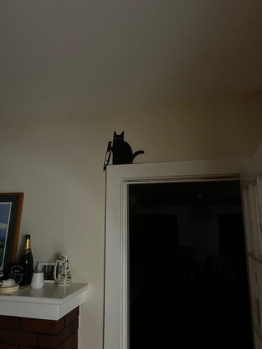 Customer photo review of Knife Cat Metal Wall Decor - Mischievous Cat