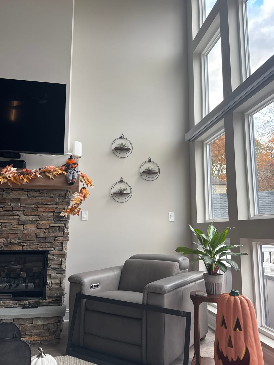 Customer photo review of Air Plant Shelf + Pot Trio