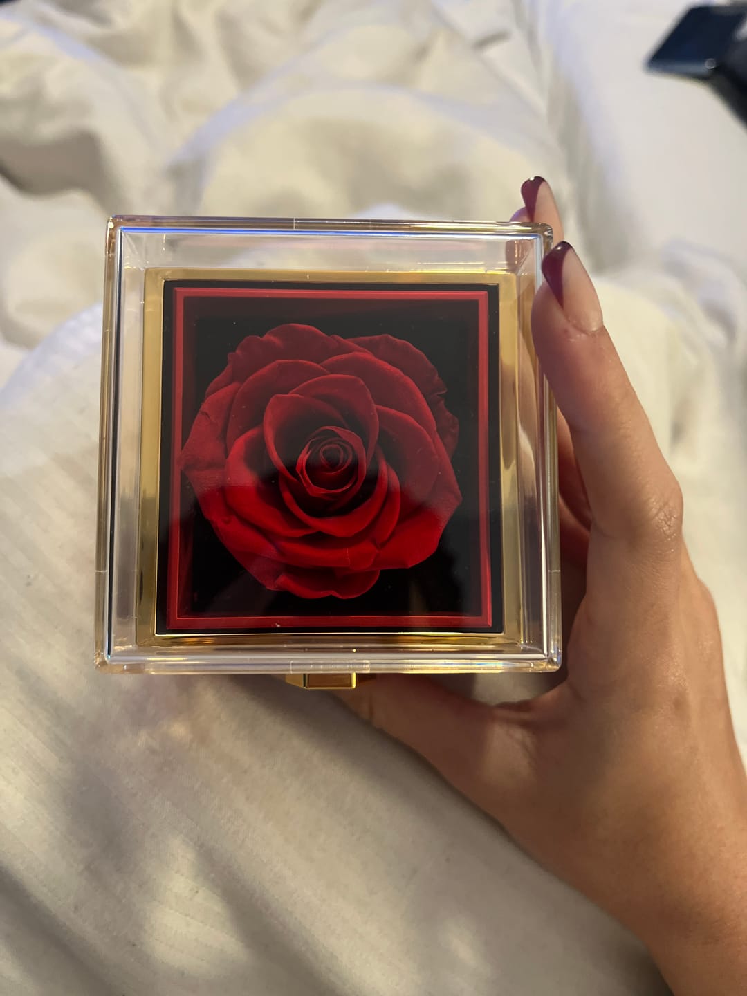 Customer photo review of Rotating Eternal Rose Gift Box