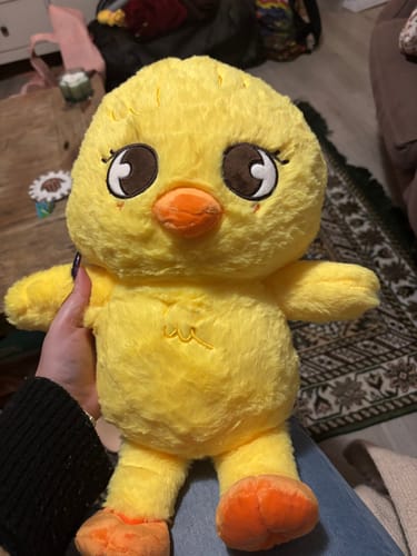 Customer photo review of SKZ Teddybear Plush