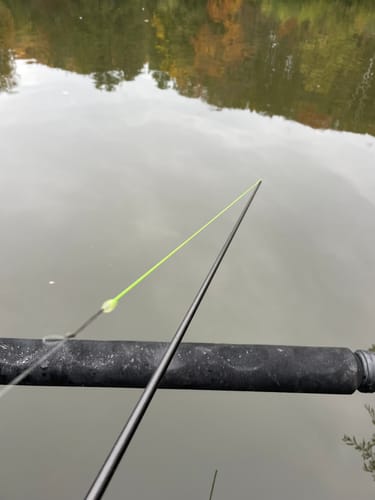 Customer photo review of 100% Puur Latex Volle Elastiek 12m