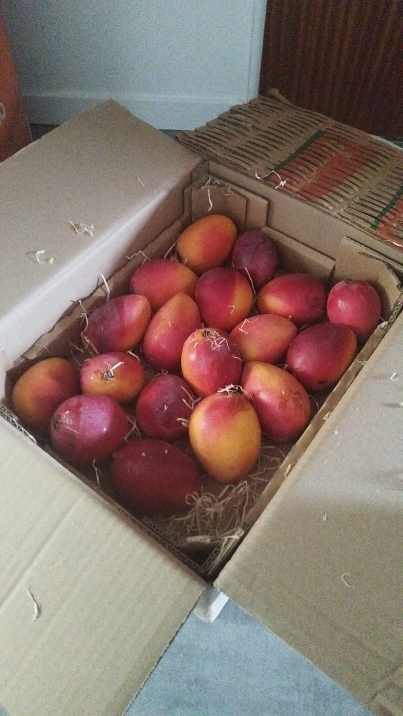 Customer photo review of Mango Sensacion Sonderaktion %