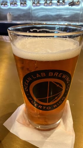 Customer photo review of Pumpkin Lager 2025