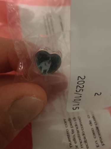 Customer photo review of Charm Personalizado Circular Huella De Cachorro