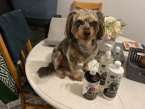 Customer photo review of Scottish Salmon Oil for Dogs & Cats