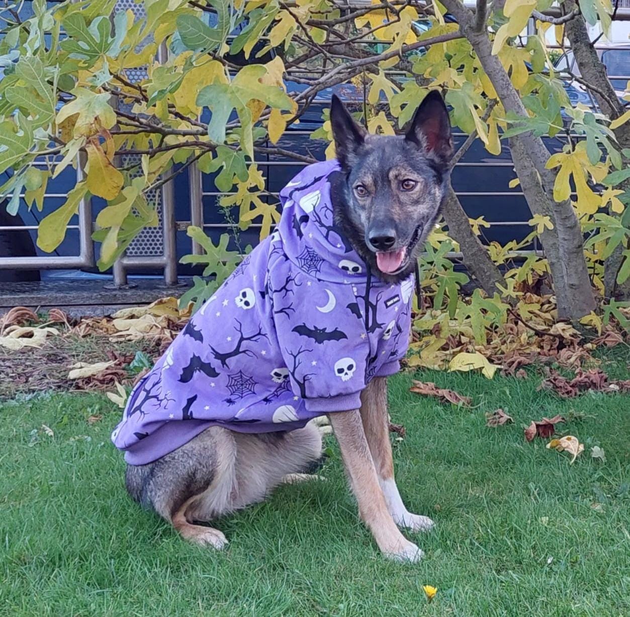 Customer photo review of Halloween Dog Hoodies (Limited Edition)