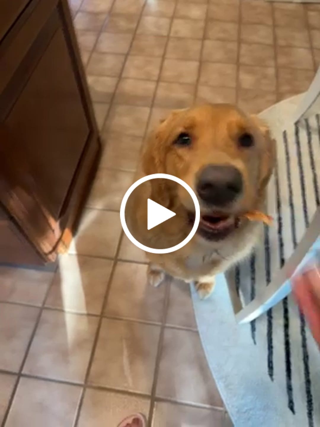 Customer video review of Uncle Justy's Just Chicken