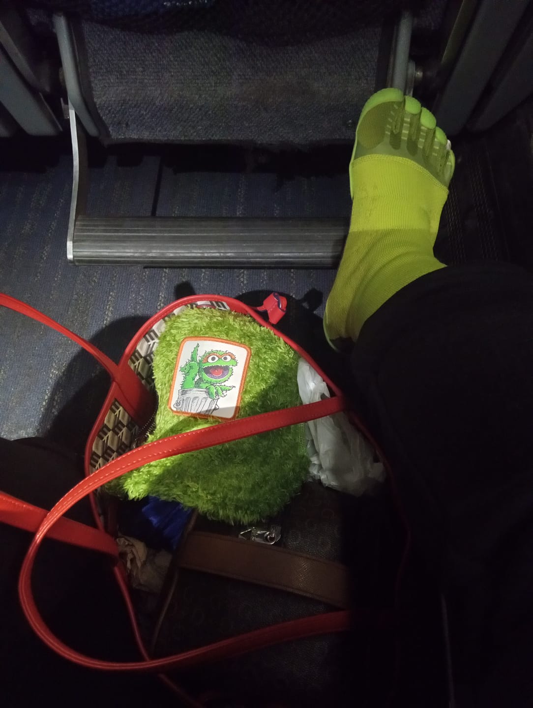 Customer photo review of OVERLORD X Sesame Street: Oscar The Grouch