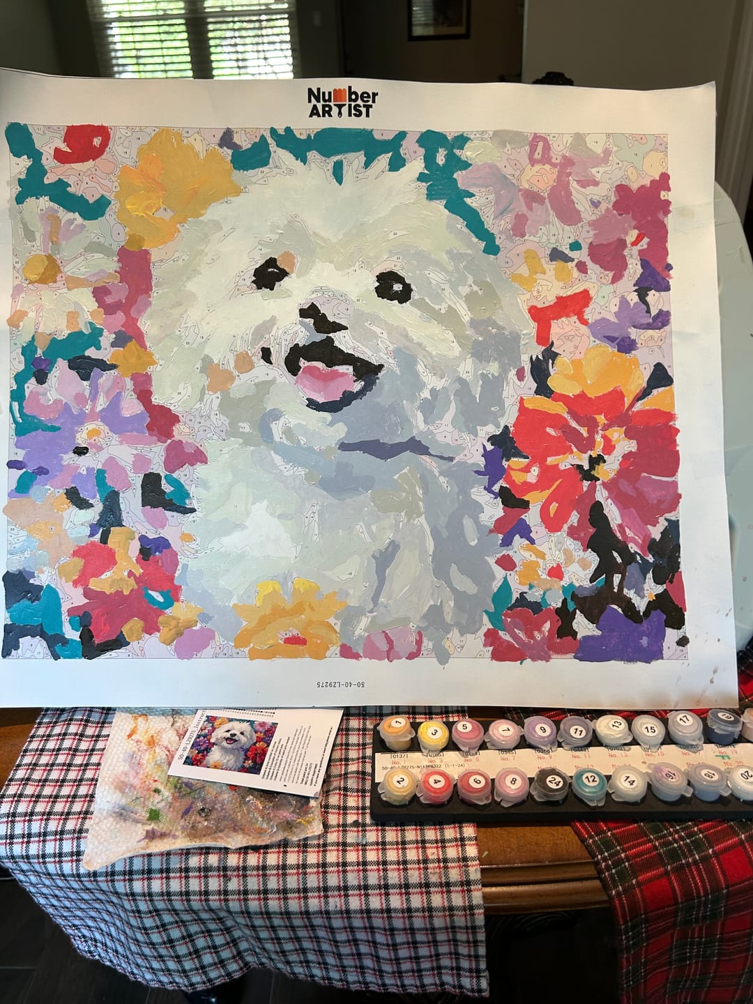 Customer photo review of Bichon Frise