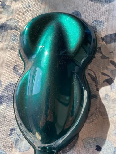 Customer photo review of Gump Green Painted Sample (Black Ground Coat)