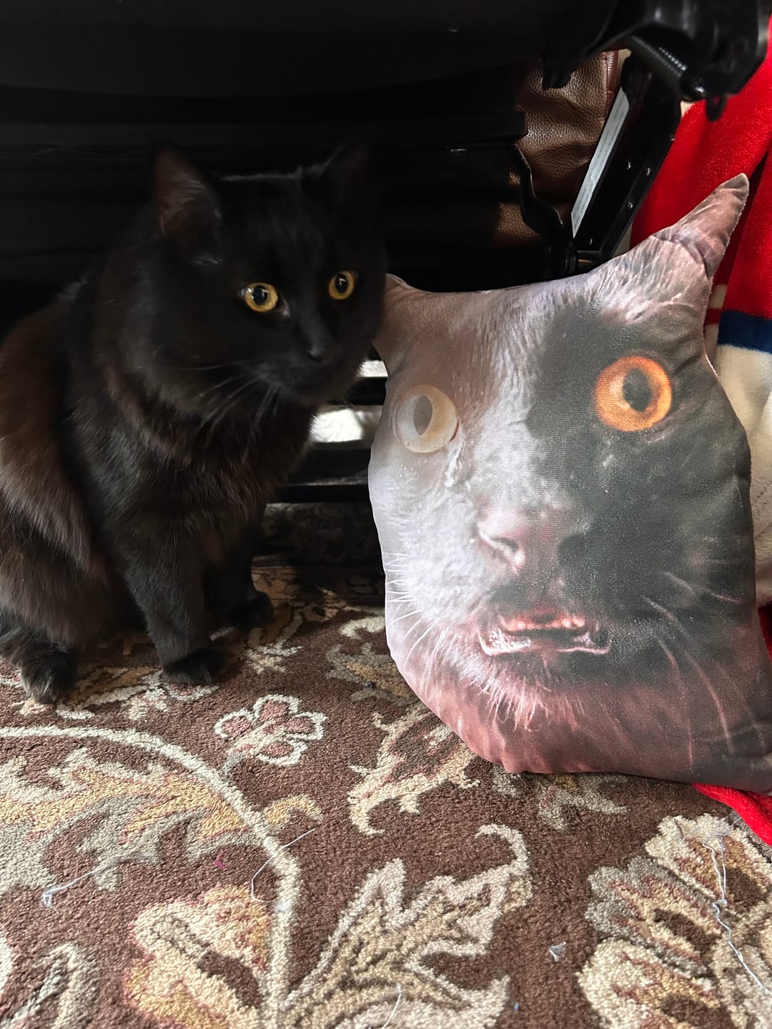 Customer photo review of Custom Pet Pillow