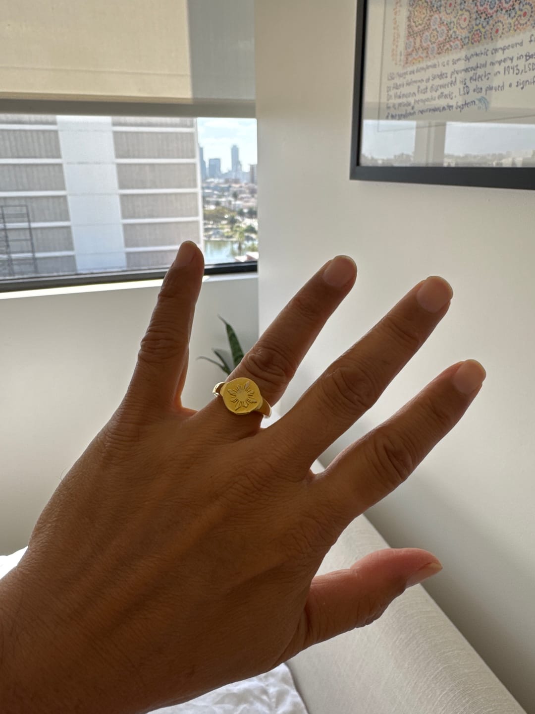 Customer photo review of Araw Signet Ring
