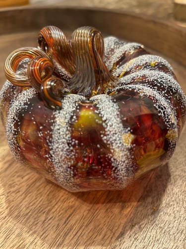 Customer photo review of Apple Cider Doughnut Squat Pumpkin