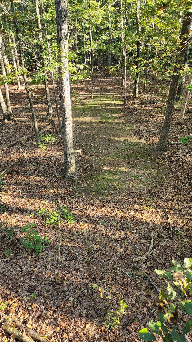 Customer photo review of No Plow No Problem