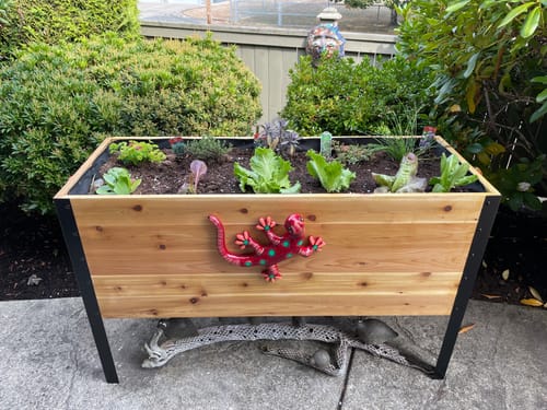 Customer photo review of 18" x 48" Raised Garden Bed - 30" TALL