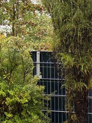 Customer photo review of Sicatron 2000W Balkonkraftwerk - 4x Jolywood 500W Bifazial - Hoymiles HMS-1600-4T