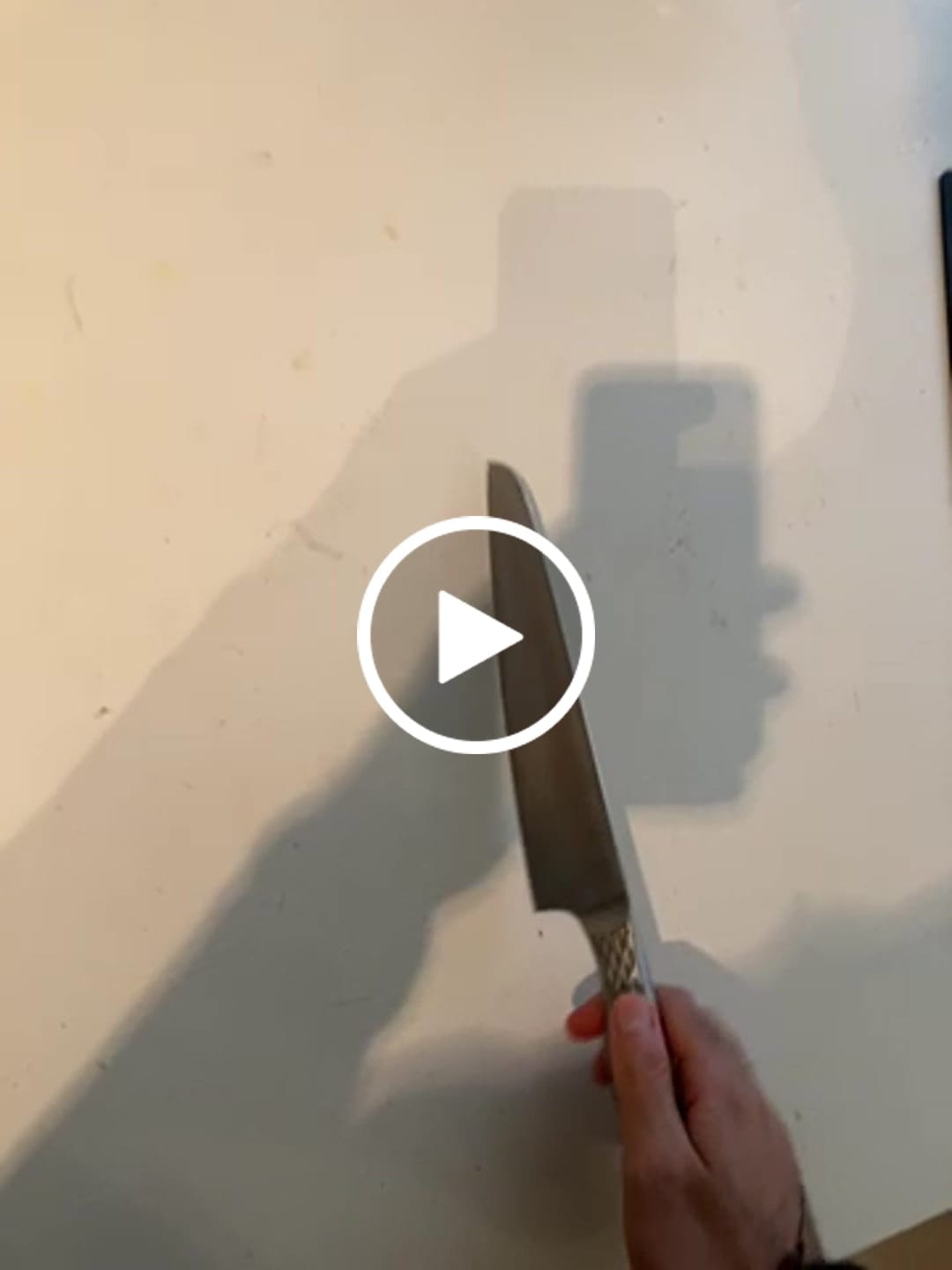 Customer video review of Kokkekniv 210 mm, KAI SHOSO