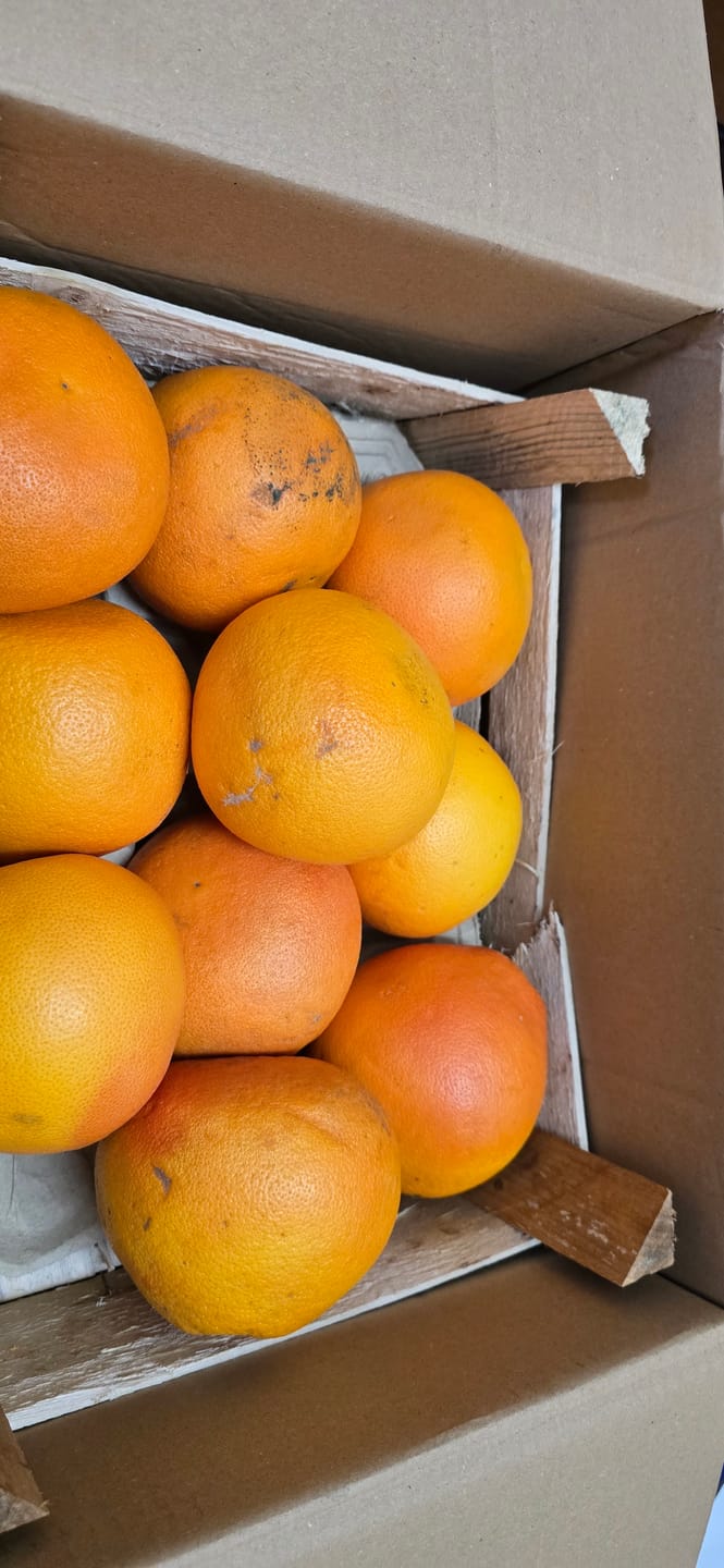 Customer photo review of Grapefruit Bio Pink Sparpreis-Box