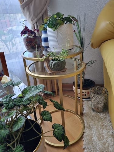 Customer photo review of MESA LATERAL NIDO GLASS GOLDEN