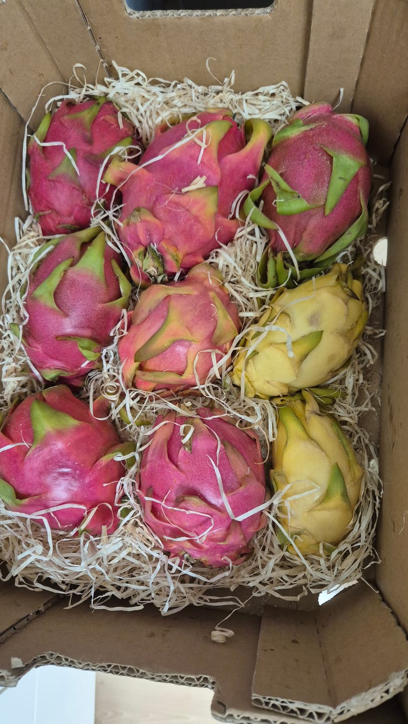 Customer photo review of Drachenwunder Box (6 Sorten!) Wochenaktion