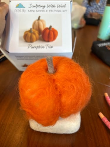 Customer photo review of Pumpkin Trio Mini Needle Felting Kit