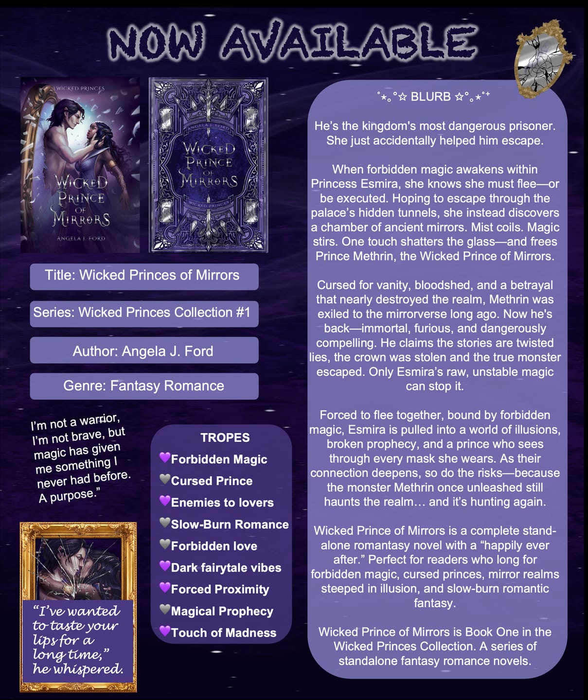 Customer photo review of Wicked Prince of Mirrors: A villain gets the girl romantasy