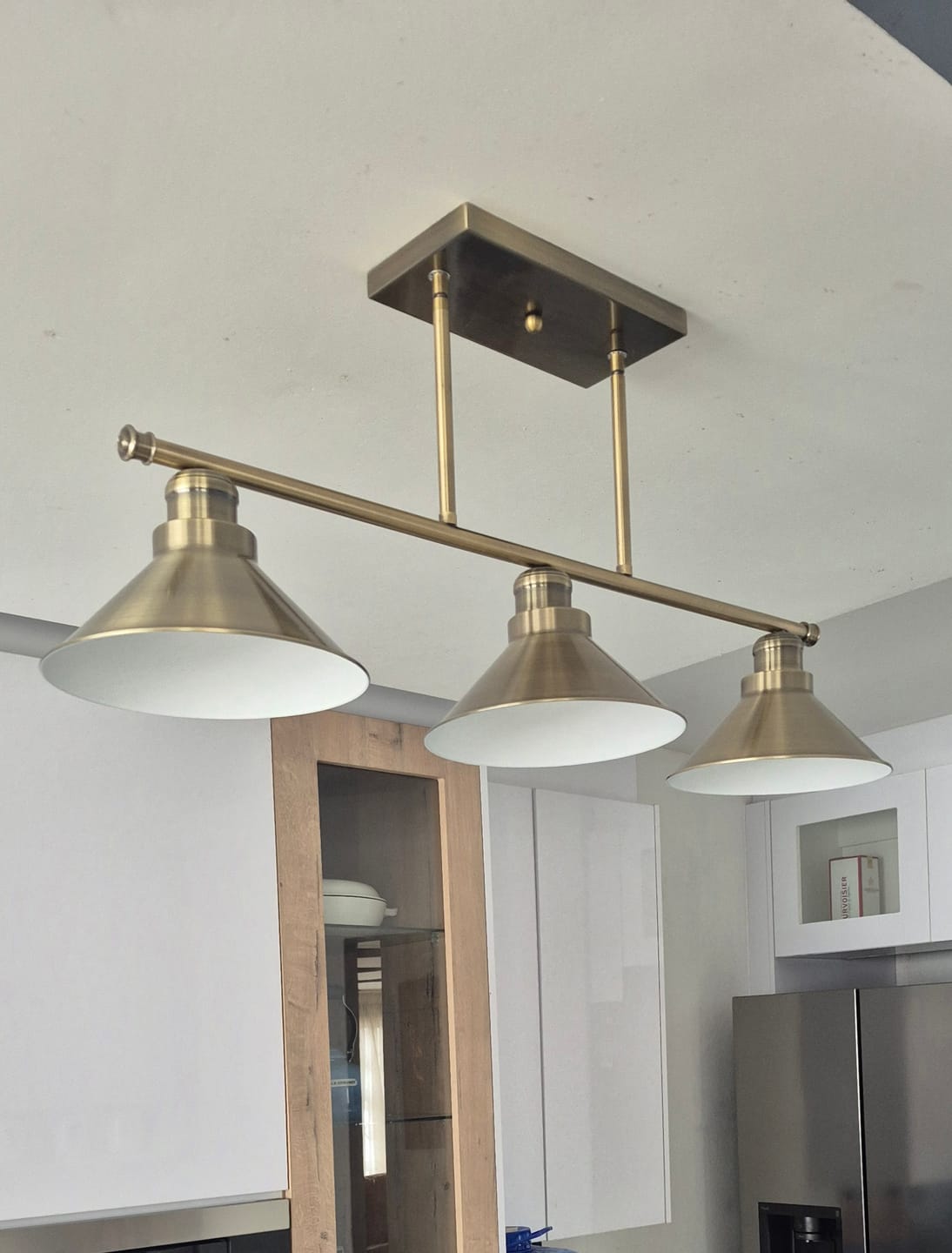 Customer photo review of Telos Pendant Light Antique