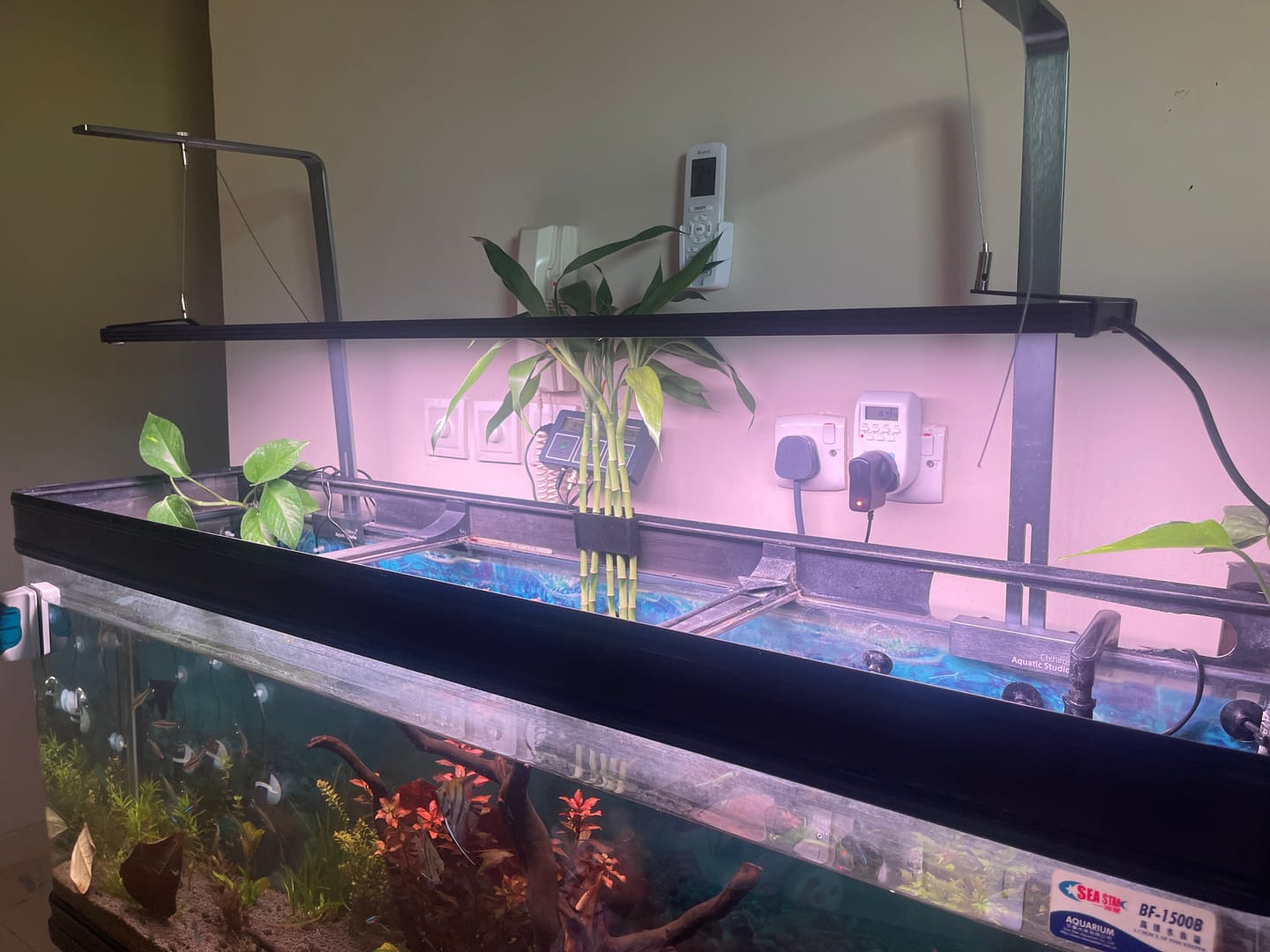 Customer photo review of Chihiros WRGB II Pro LED Light