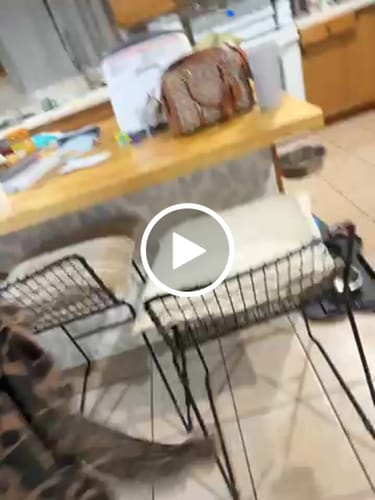 Customer video review of Custom Leather Patch Realtree Goat Rope Hat - Lost Hat Co.