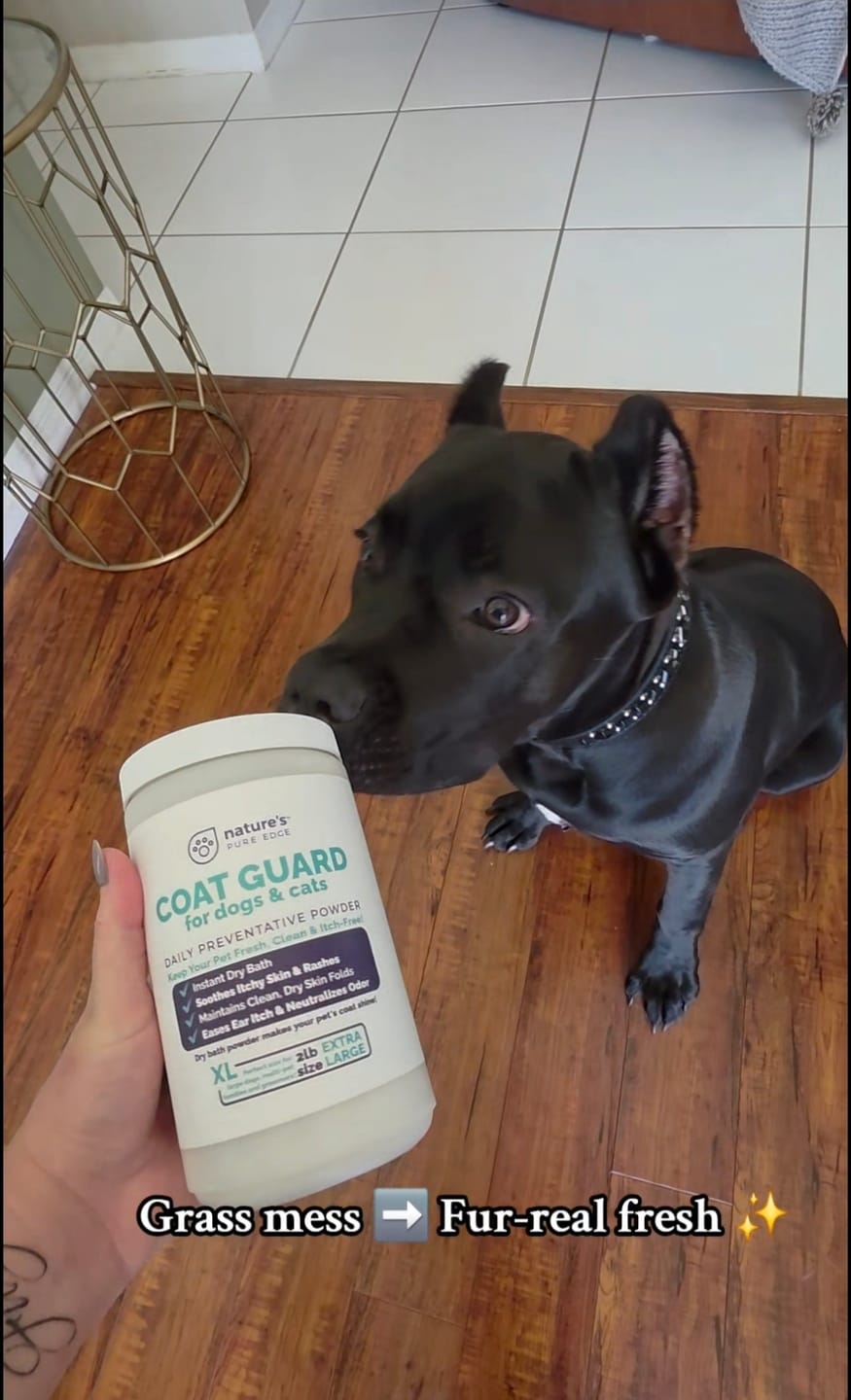 Customer photo review of Coat Guard Dry Shampoo for Dogs and Cats
