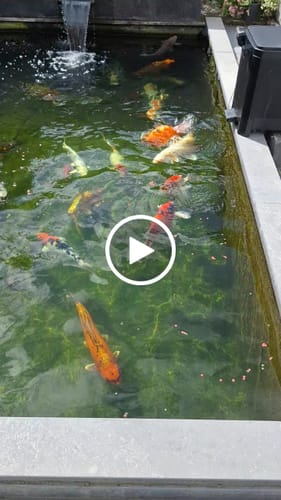 Customer video review of 3D-R KEEPNET ARM SHORT MK2