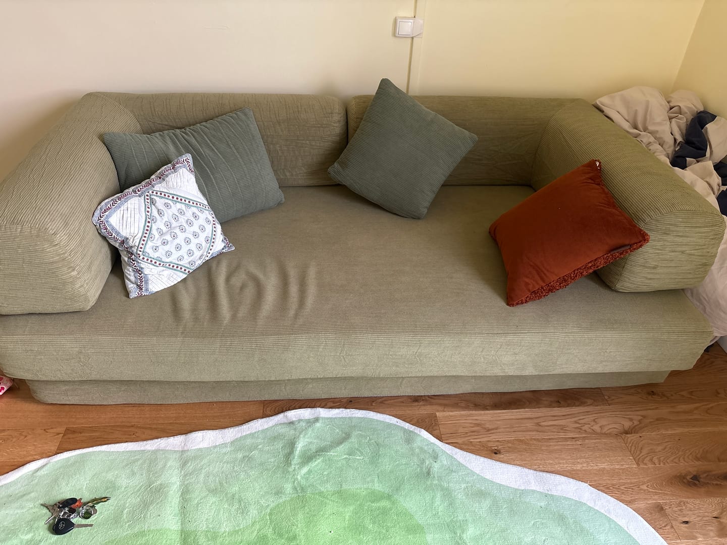 Customer photo review of VacuumLuxe Compression Sofa