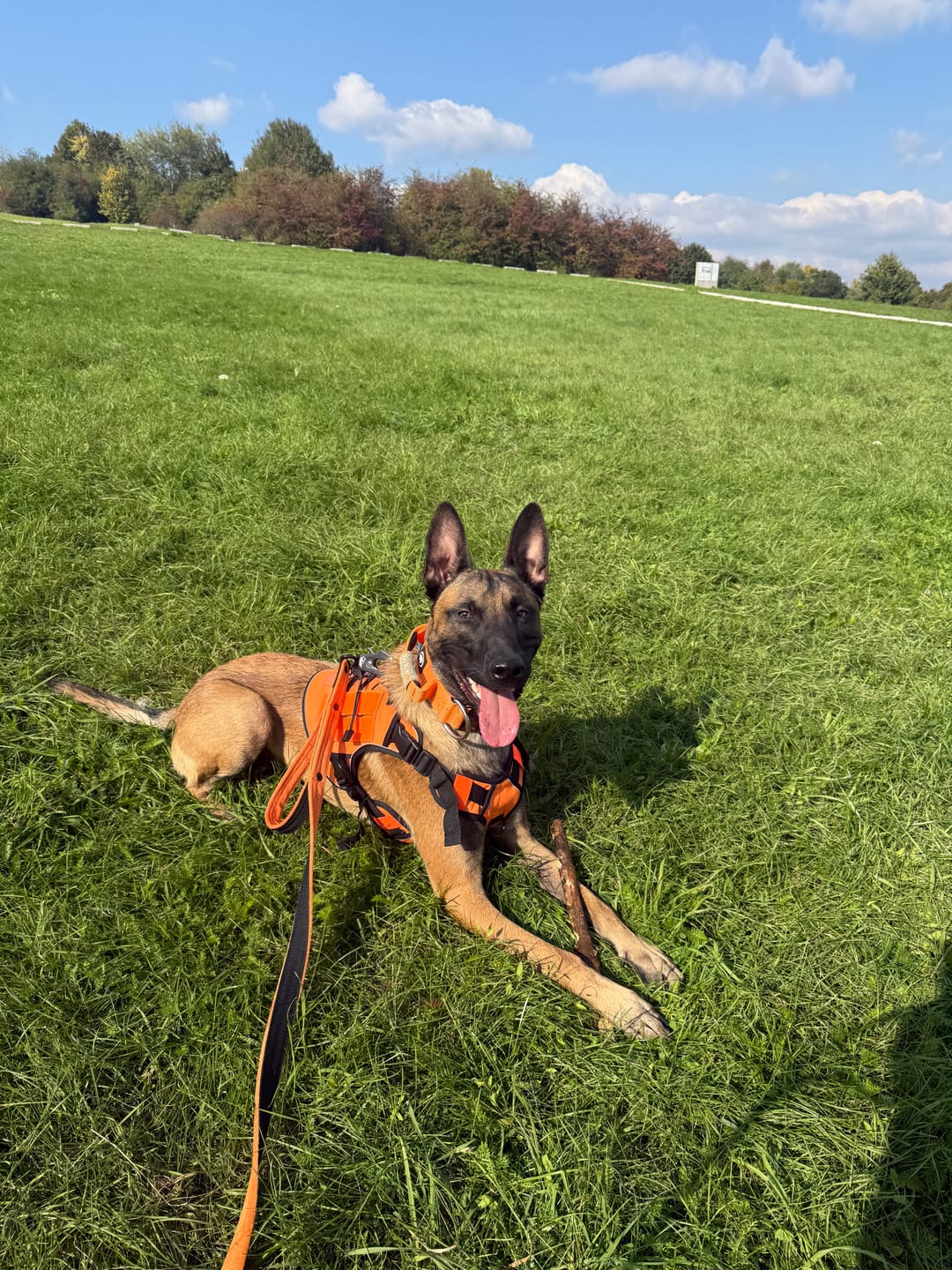 Customer photo review of Smycz z dodatkową rączką - Guard Leash Black Edition Pomarańczowa