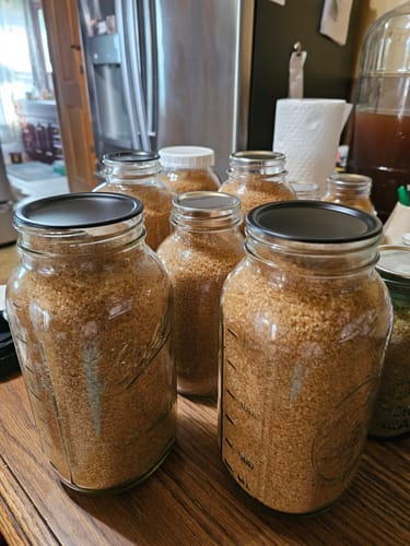 Carol L. review of Mason Genie® Vacuum Sealer Kit image 1 out of 1