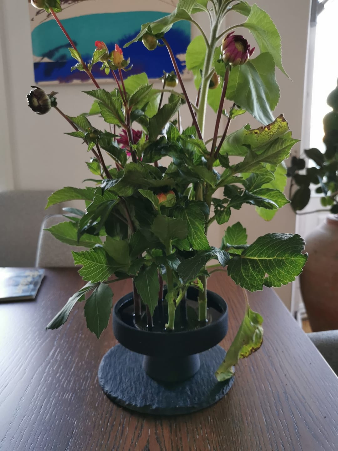 Customer photo review of Grandpa's Favourite Flower Design Kit