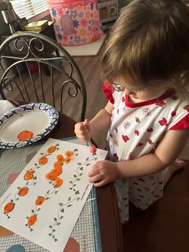 Customer photo review of The Toddler Box- Monthly