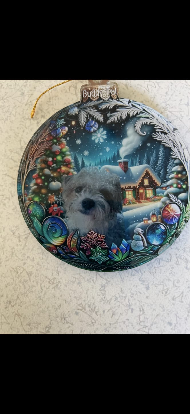 Customer photo review of Custom Photo Pets Make Our Lives Whole - Dog & Cat Personalized Ornament