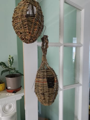 Customer photo review of The Bird Box - Course and Kit