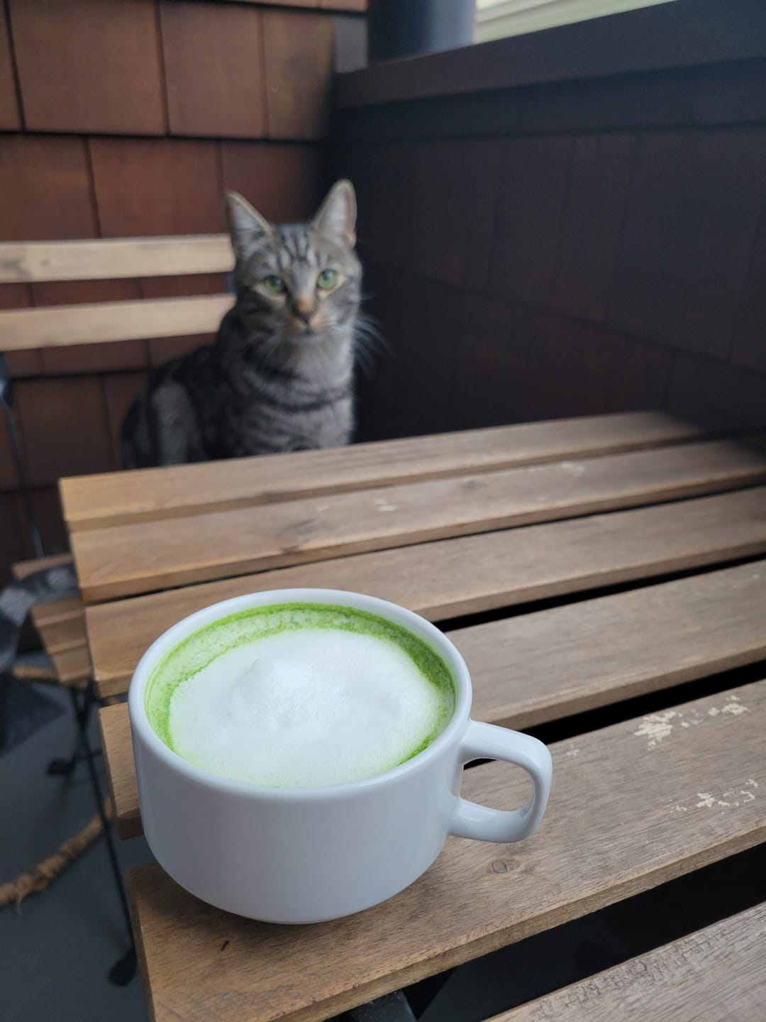 Customer photo review of Recharge l'Enchanteur  - Matcha cérémonie