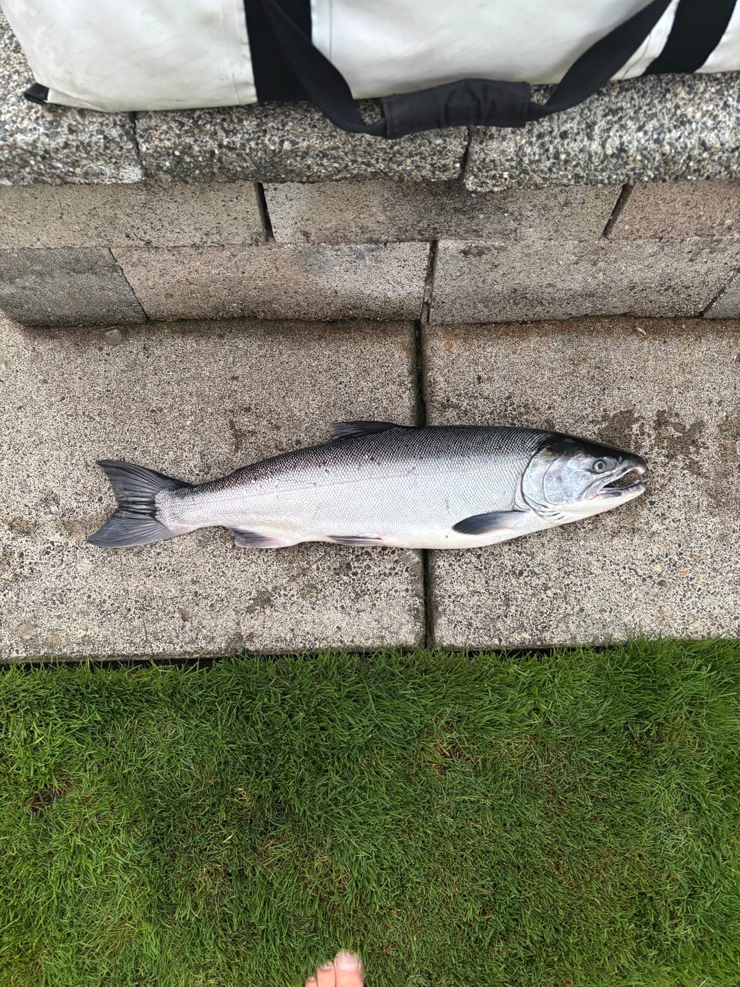 Customer photo review of 360 Spreaders - Titan