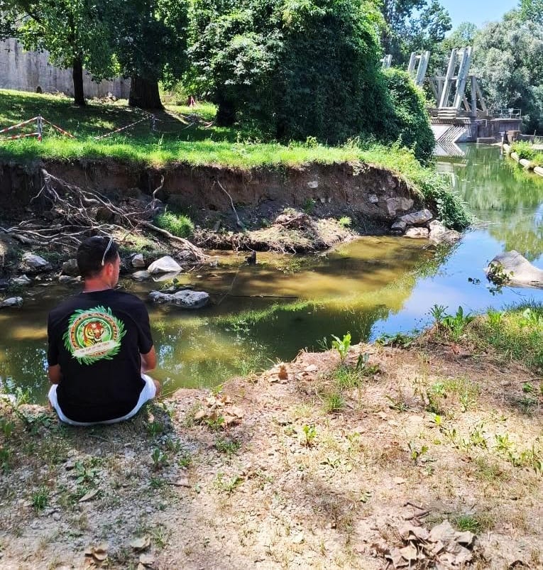Customer photo review of LE T-SHIRT "THE EYE OF THE TIGER"