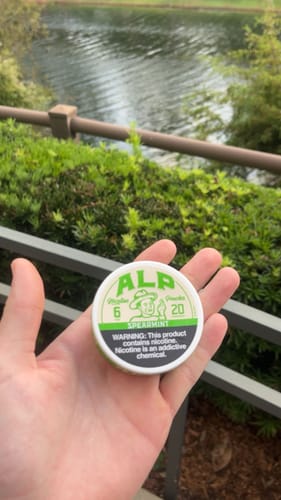 Customer photo review of Spearmint Nicotine Pouches