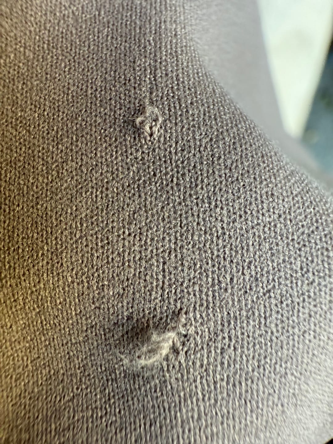 Customer photo review of Pala Premium